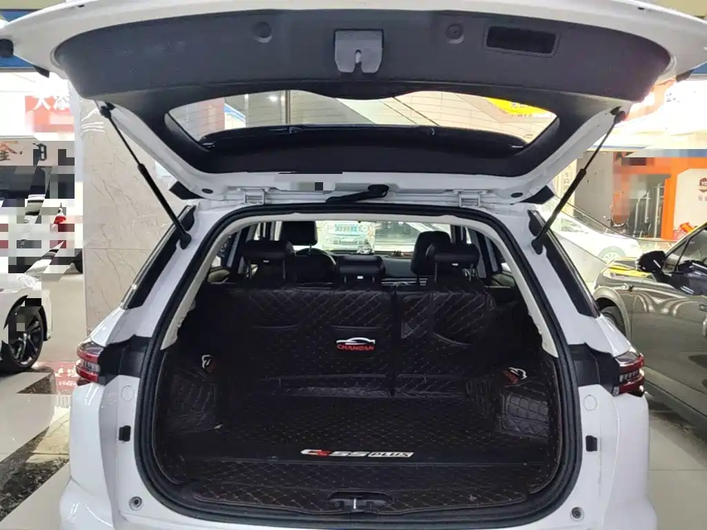 Changan CS55 PLUS 2020 2021 Blue Whale Edition 1.5T DCT Luxury