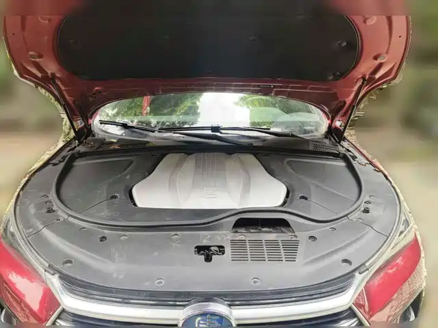 BYD Tang New Energy 2021 DM 2.0T AWD High Performance Genesis Flagship — фото 3