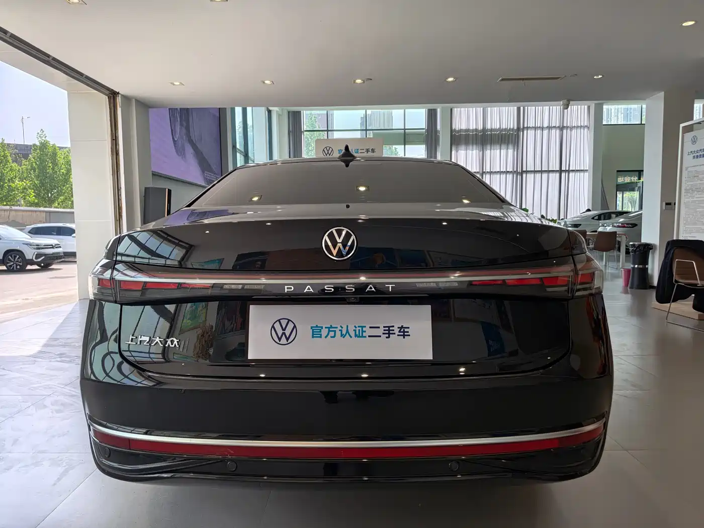 Volkswagen Passat 2025 Pro 380TSI Dragon Prestige Edition фото 18