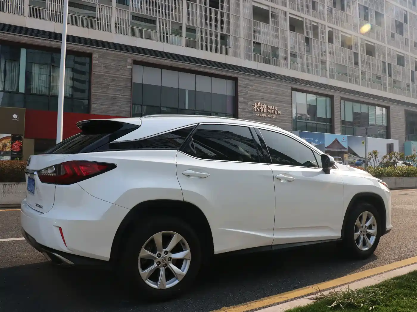 Lexus RX 2016 300 2WD Elite Edition (China V) фото 6