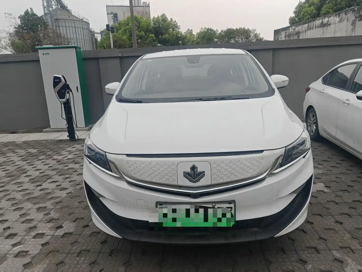 RUILAN AUTOMOBILE MAPLE LEAF 80V L