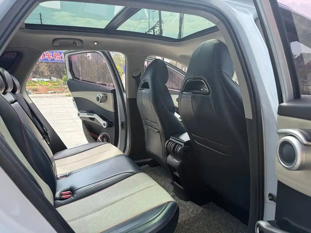 BYD Yuan PLUS 2022 2022 430KM Luxury Model