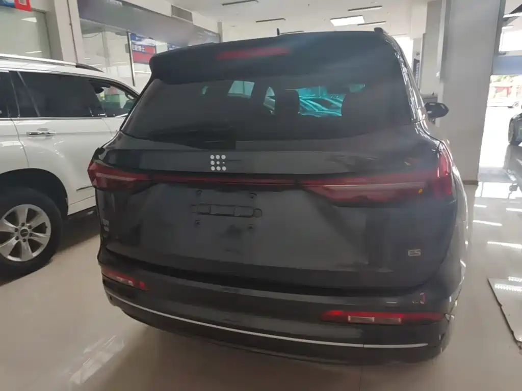 Landian E5 2024 2024 Glory Edition 100KM Ultimate Type 7-Seater