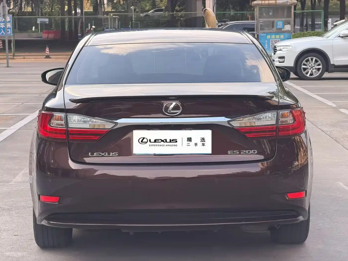 Lexus ES 2015 200 Elite Edition фото 4