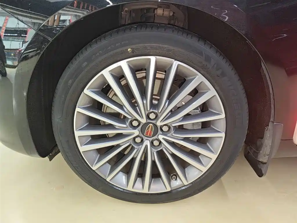 Hongqi H9 2020 2.0T Smart Connection Qi Xiang Edition фото 23