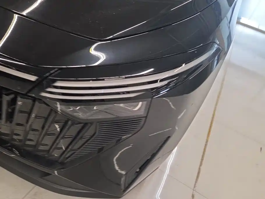 Venucia DaV DD-i 2023 2023 110km iE Edition