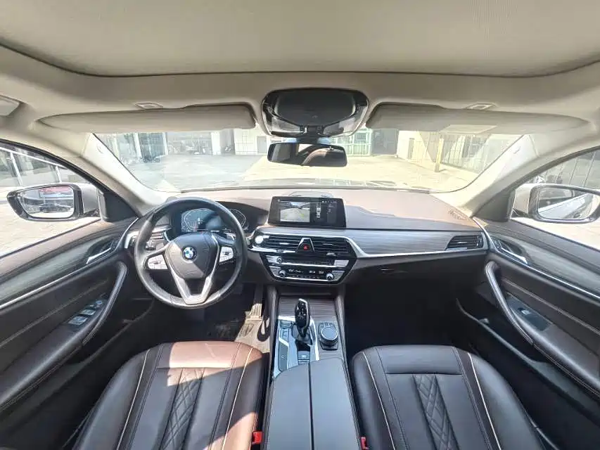 BMW 5 Series 2020 530Li Leading Luxury Package фото 9