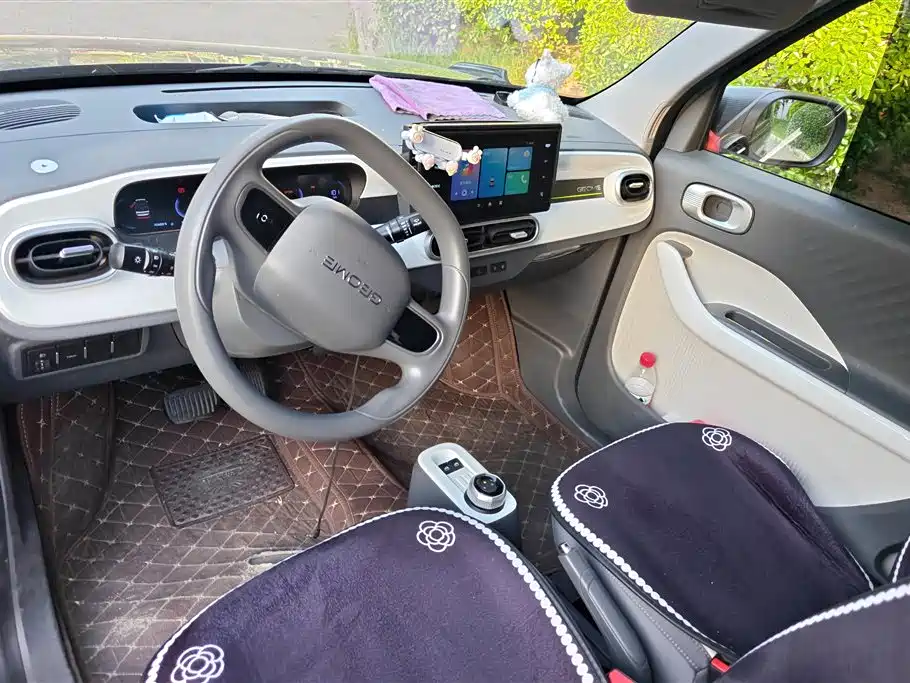 Geely Galaxy Panda 2025 Model Year 210km Panda Kart фото 12
