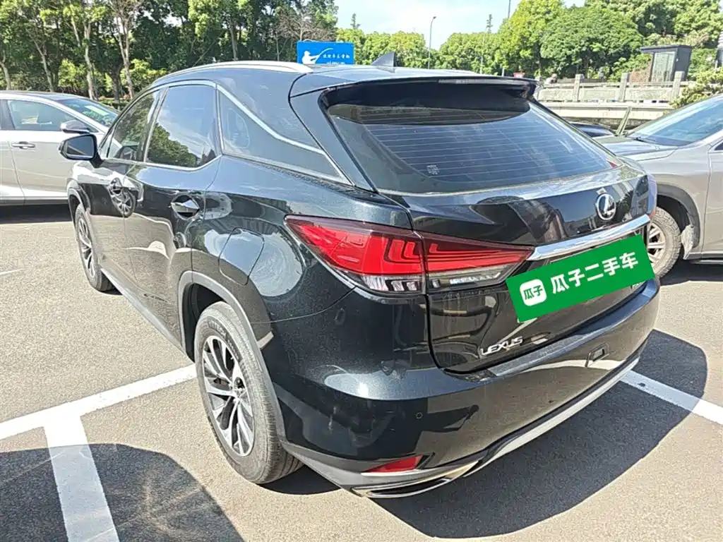 Lexus RX 2020 300 2WD Elite Edition China VI фото 5