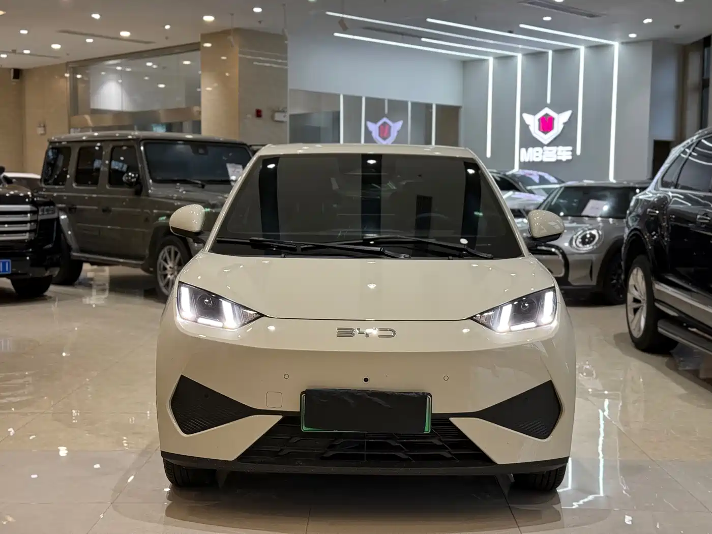 BYD Seagull 2026