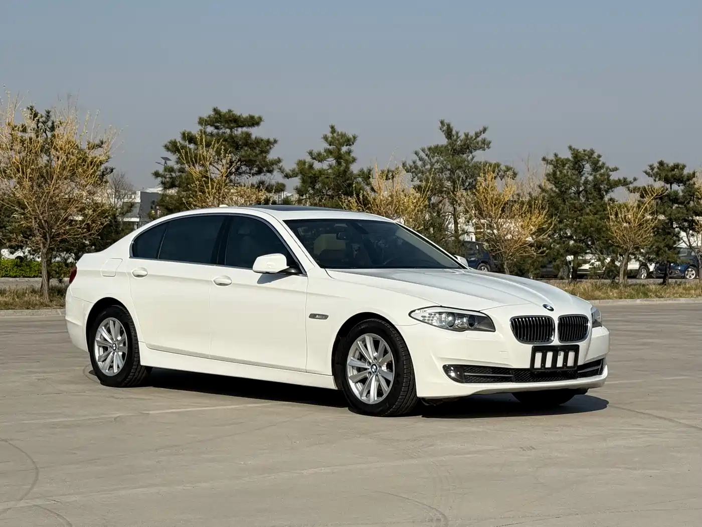 BMW 5 Series 2012 523Li Luxury фото 4