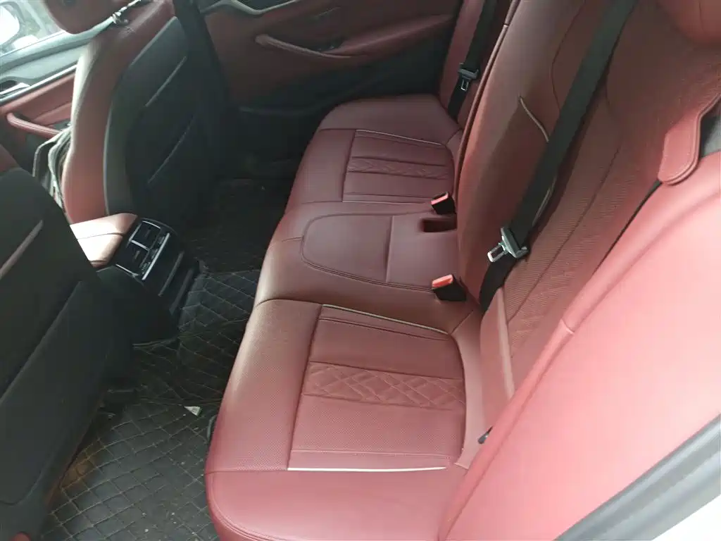 BMW 5 Series 2021 530Li xDrive M Sport Package фото 14