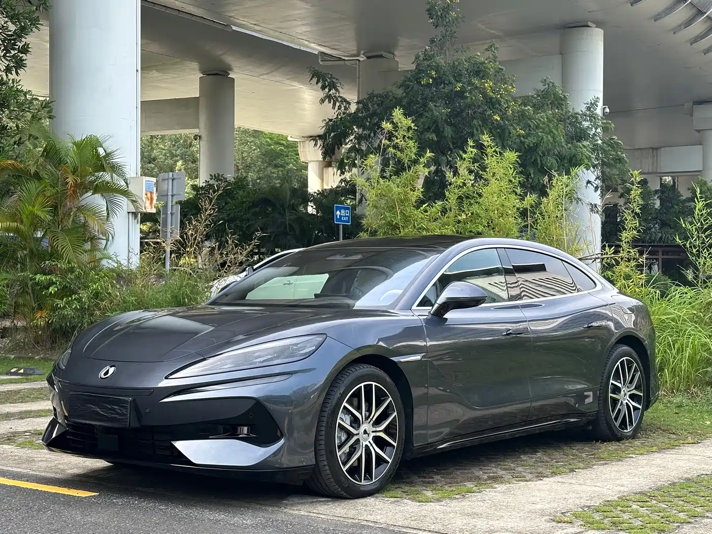 Denza Z9 2024 Model 1100km AWD Max Edition