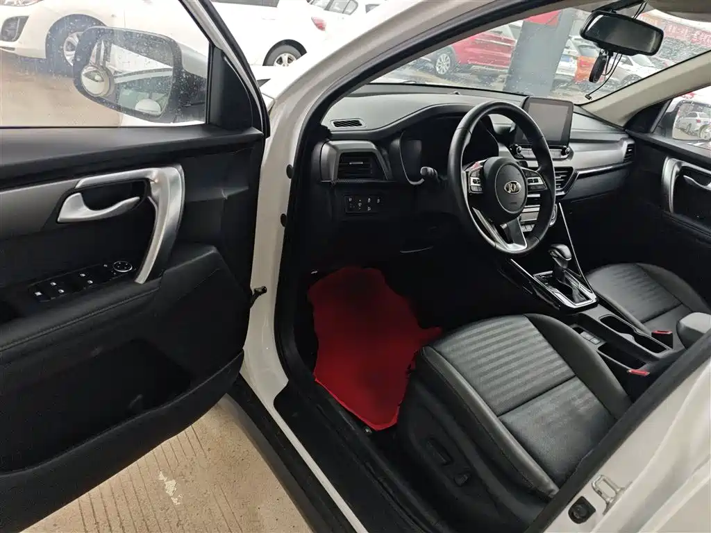 Kia Sportage 2019 2.0L Automatic Smart Luxury Edition фото 16