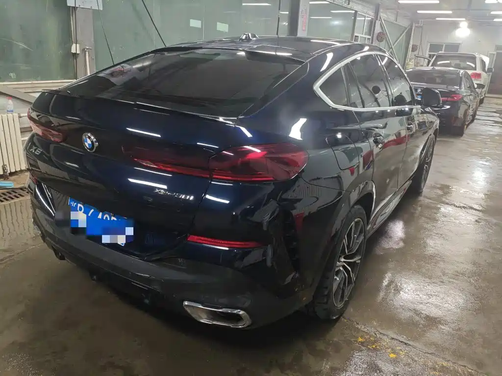2024 BMW X6