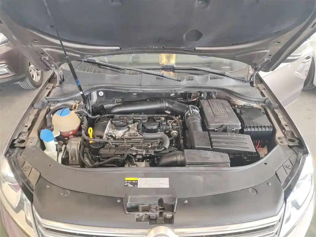 Volkswagen Magotan 2015 1.8TSI Luxury фото 20