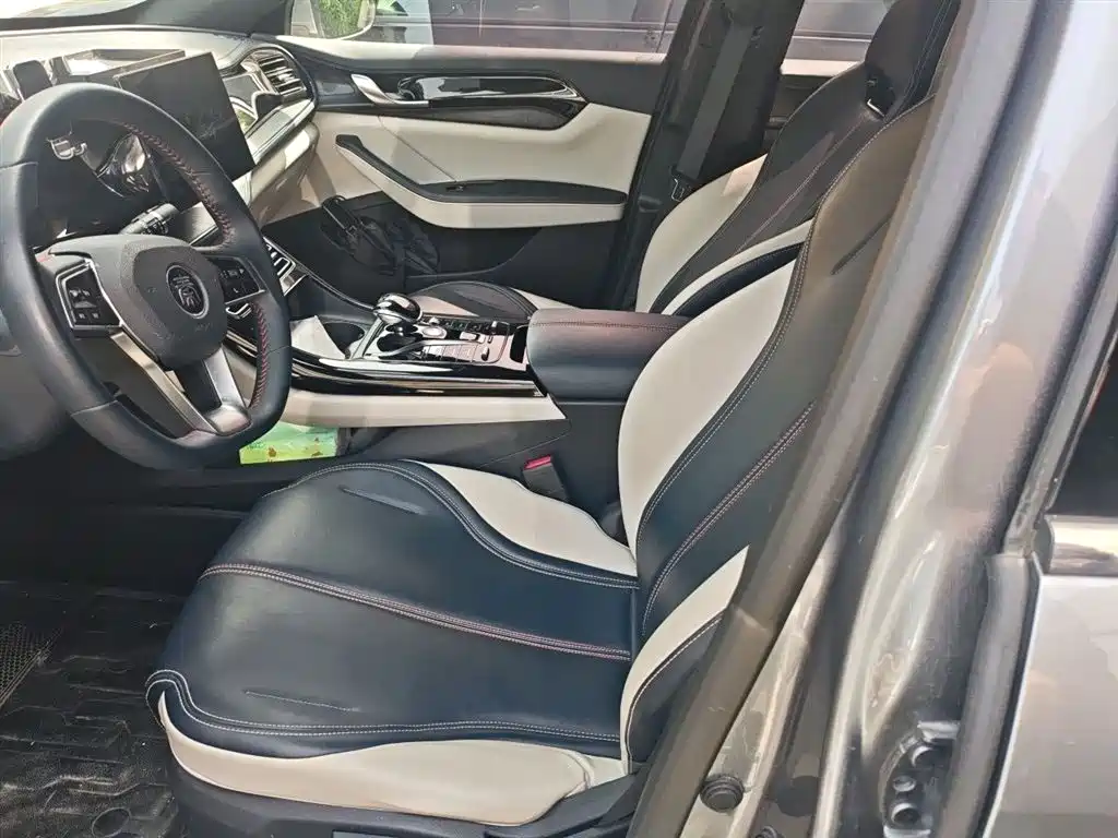 BYD Qin PLUS 2021 DM-i 55KM Premium фото 11