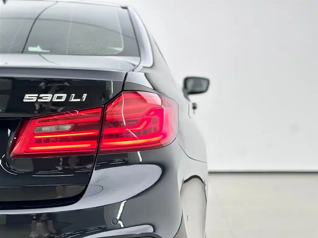 BMW 5 Series 2020 530Li Exclusive M Sport Package фото 18