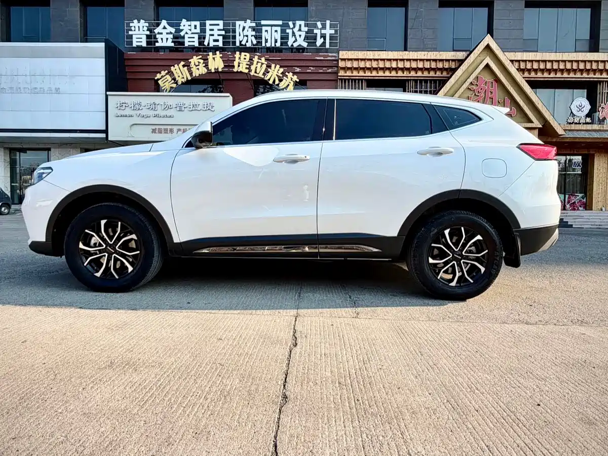 Haval H6 2023 National Trend Edition 1.5T Automatic Urban фото 8