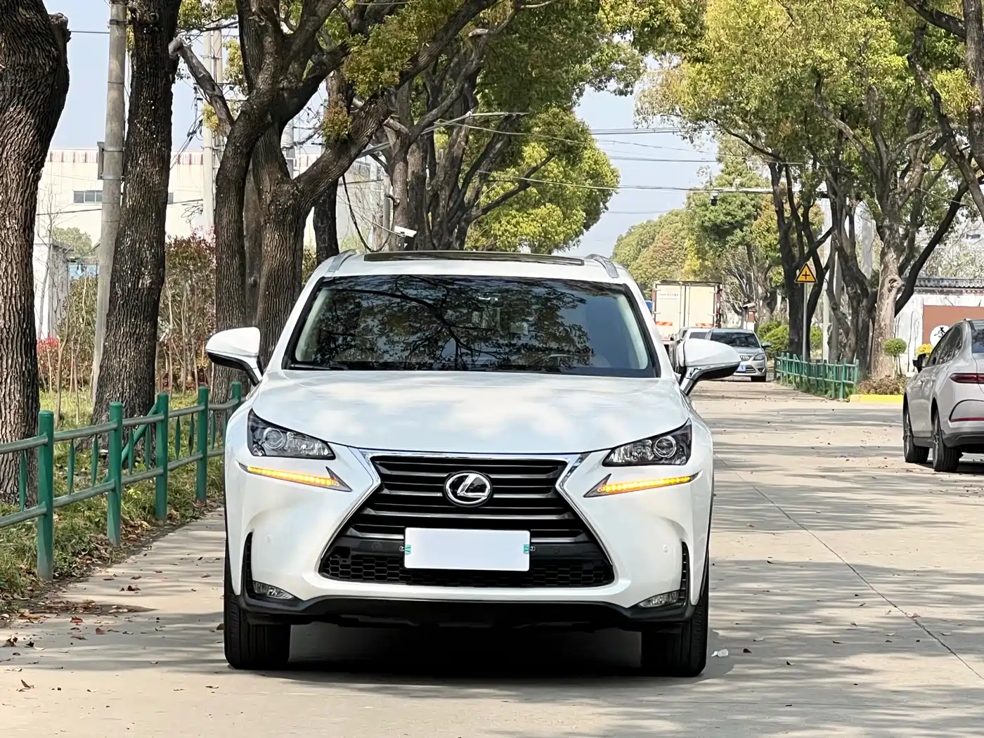 LEXUS NX