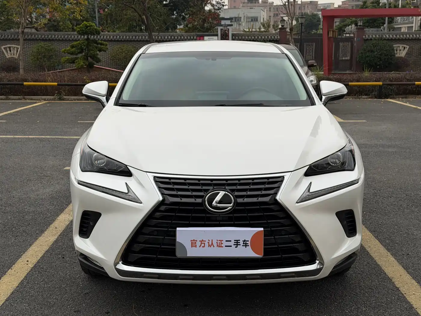 Lexus NX 2018 Model 300 FWD Fengxing Edition фото 2