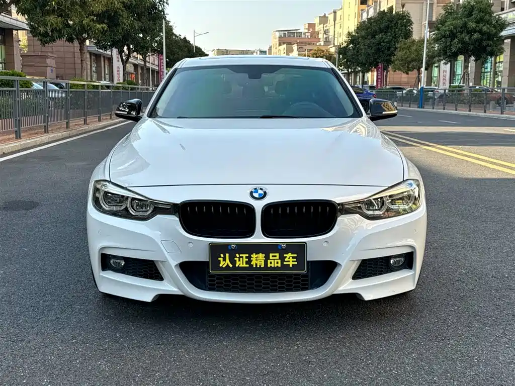 BMW 3 Series 2019 320Li M Sport Black Night Edition фото 2