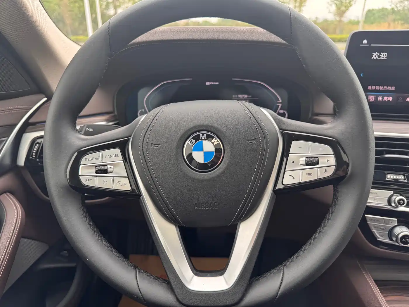 BMW 5 Series New Energy 2021 535Le Luxury Package фото 22