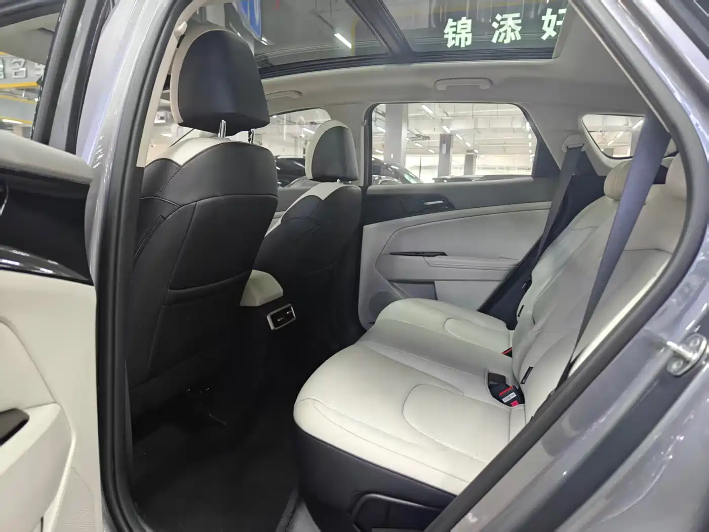 KIA LION PLATINUM EXPANDS THE WORLD