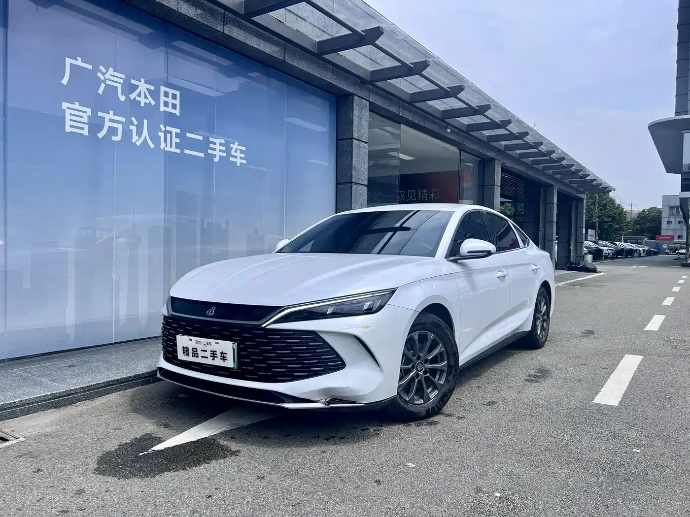 BYD Qin L 2024