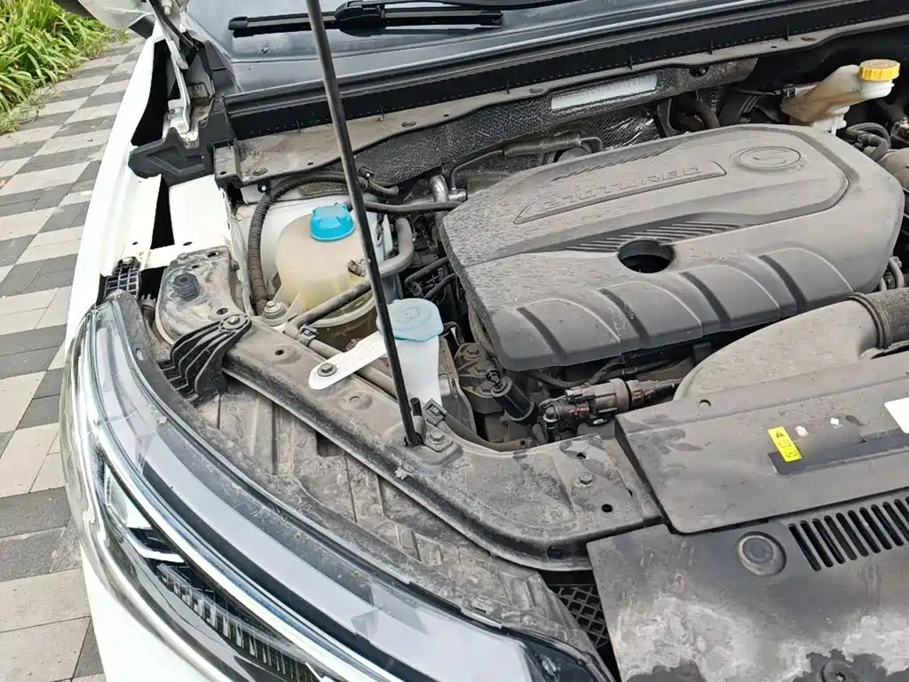 GAC Trumpchi GS4 2022 2022 270T Auto Pilot Edition
