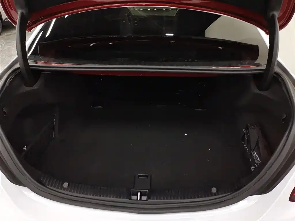 Mercedes-Benz C-Class 2021 C 260 L Sport Starry Exclusive Edition фото 16