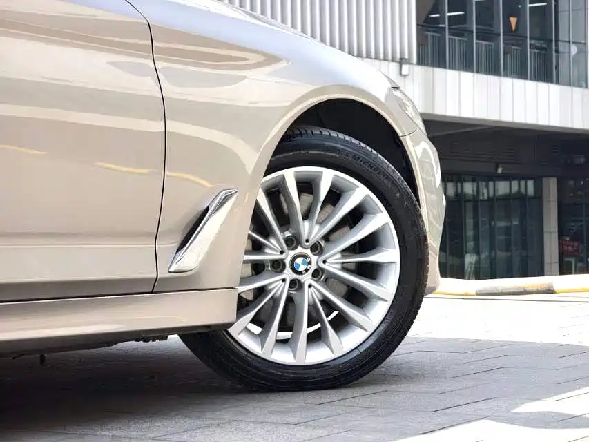 BMW 5 Series 2020 530Li Leading Luxury Package фото 6