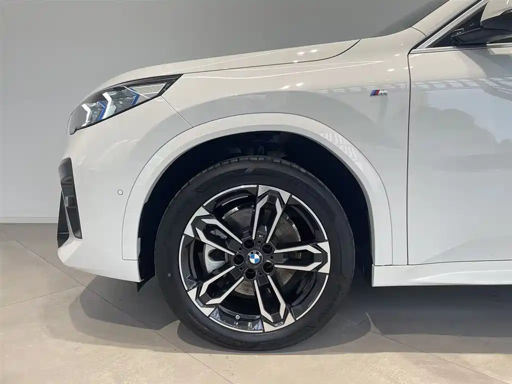 BMW X2 (Import) 2025 sDrive25i M Sport Package фото 16