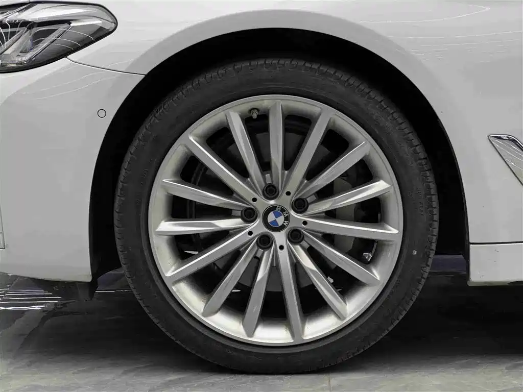 BMW 5 Series 2021 530Li Premium Luxury Package фото 4