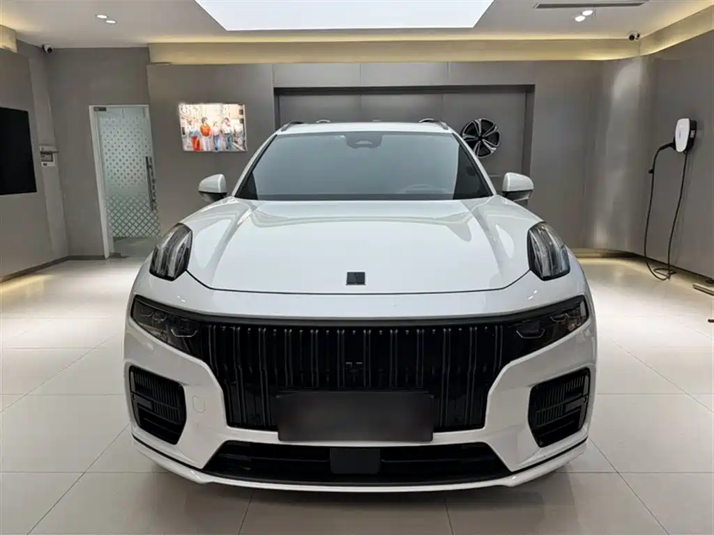 Lynk & Co 09 EM-P 2021 2.0T PHEV Ultra 6-seater фото 10
