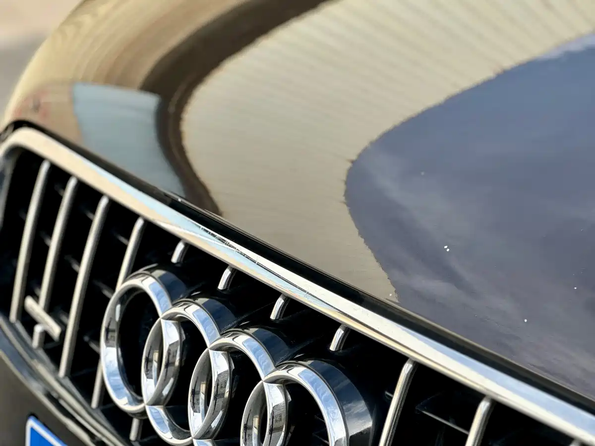 Audi Q7 2011 3.0 TFSI Exclusive (200kW) фото 19