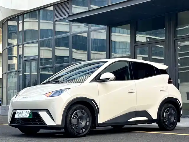BYD Seagull Энергия