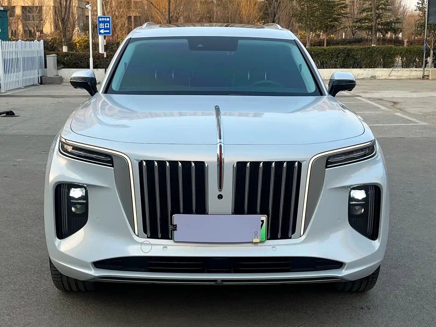 Hongqi E-HS9 2022 690km Qi Xiang Edition (6-seater) фото 2