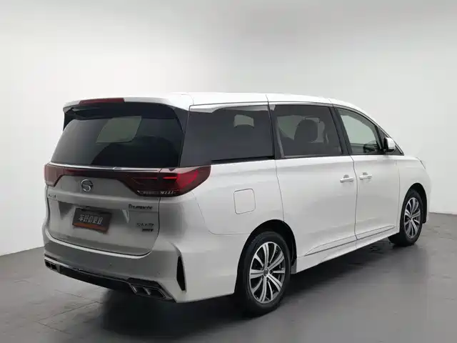 GAC Trumpchi Trumpchi M8 2020 Pilot 390T Prestige Edition — фото 2