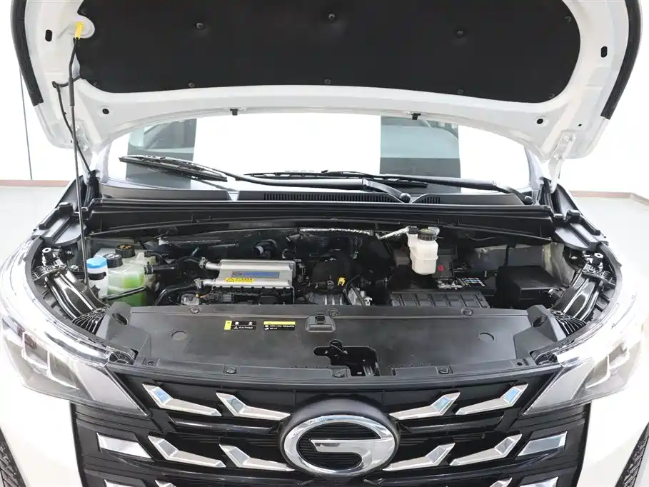 GAC Trumpchi Trumpchi M6 2023 PRO 270T DCT Luxury Edition фото 9