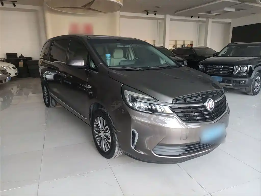 Buick GL8 2020 Model Land Business Class 652T Luxury фото 23