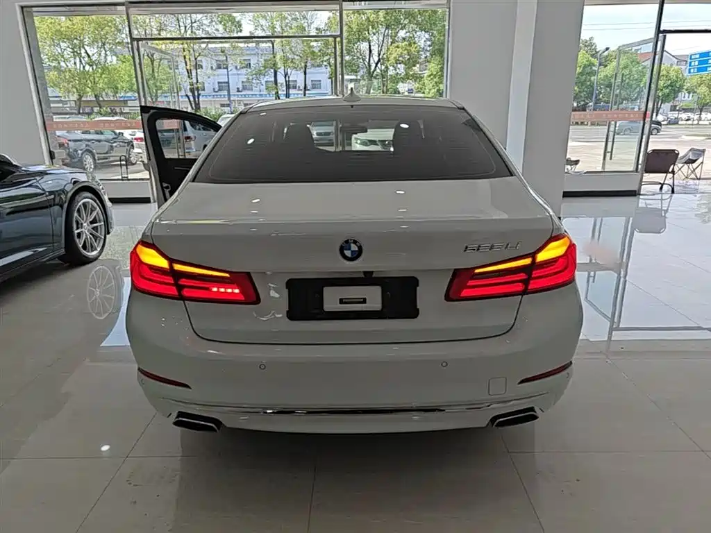 BMW 5 Series 2020 525Li Luxury Package фото 6