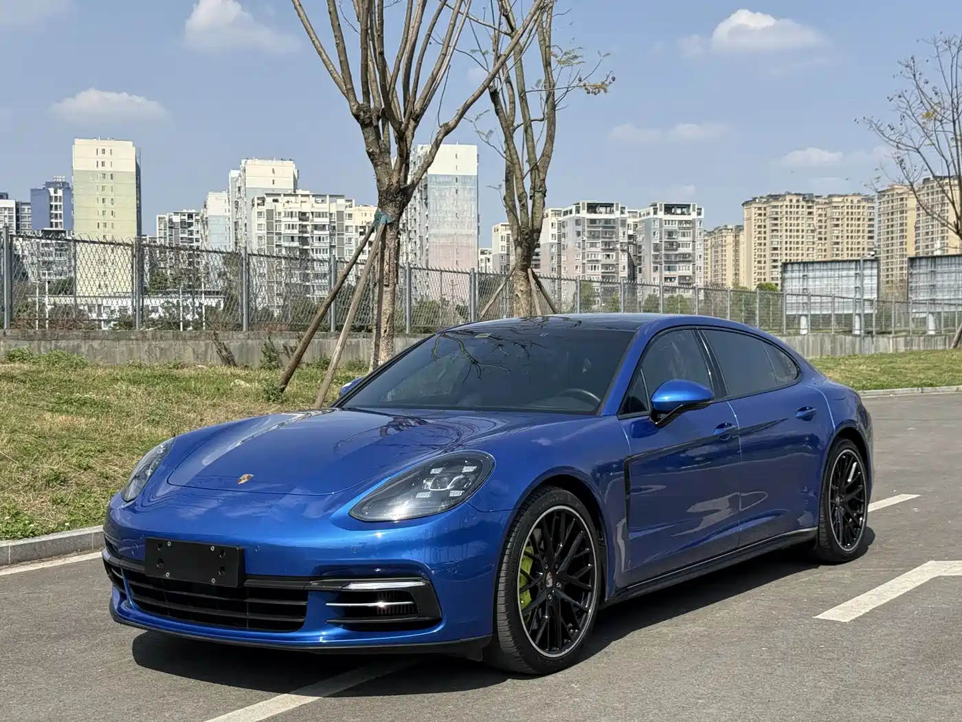 Porsche Panamera New Energy 2017 Panamera 4 E-Hybrid Executive Long Wheelbase 2.9T