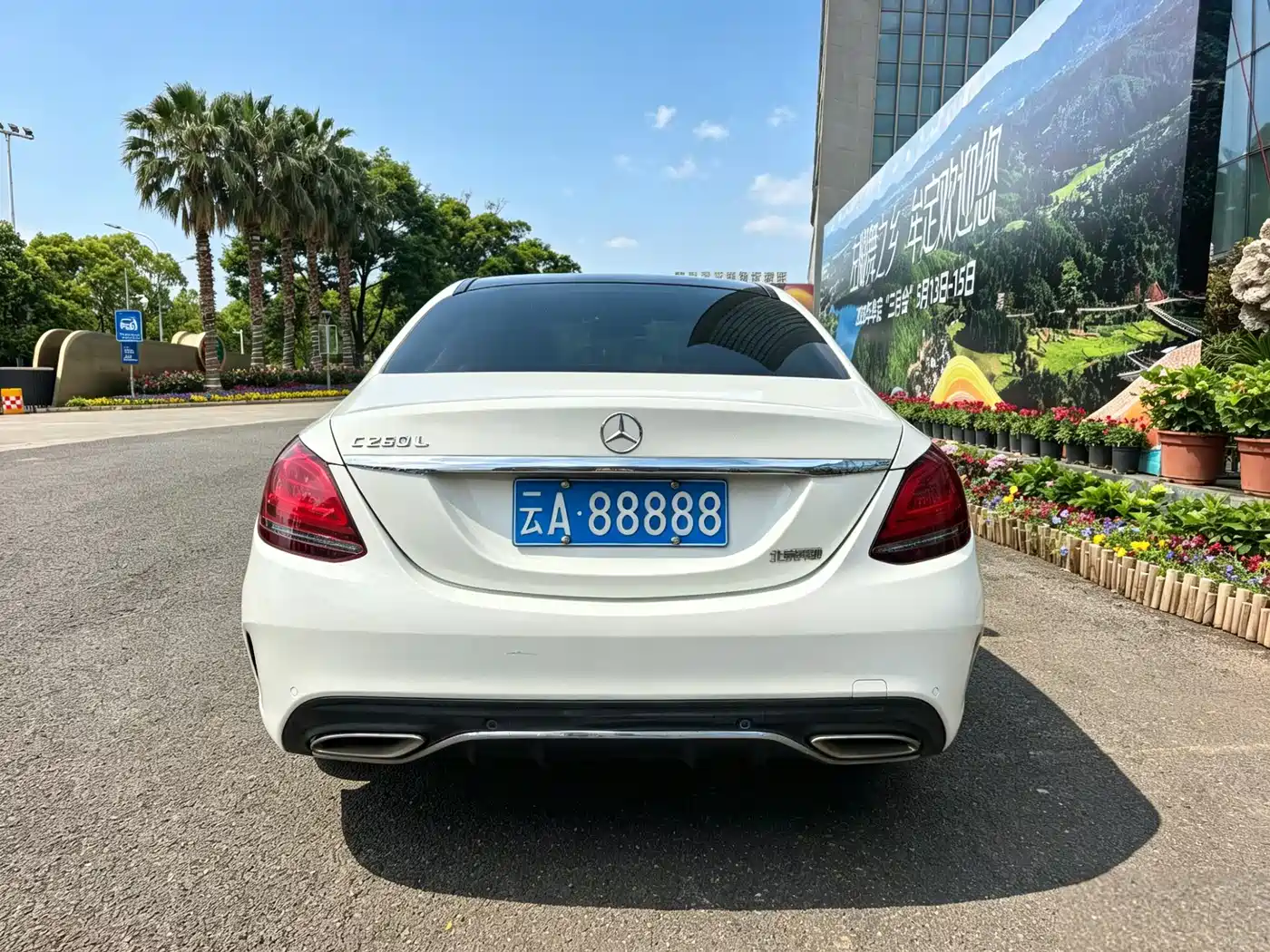 Mercedes-Benz C-Class 2019 C 260 L Sport фото 14