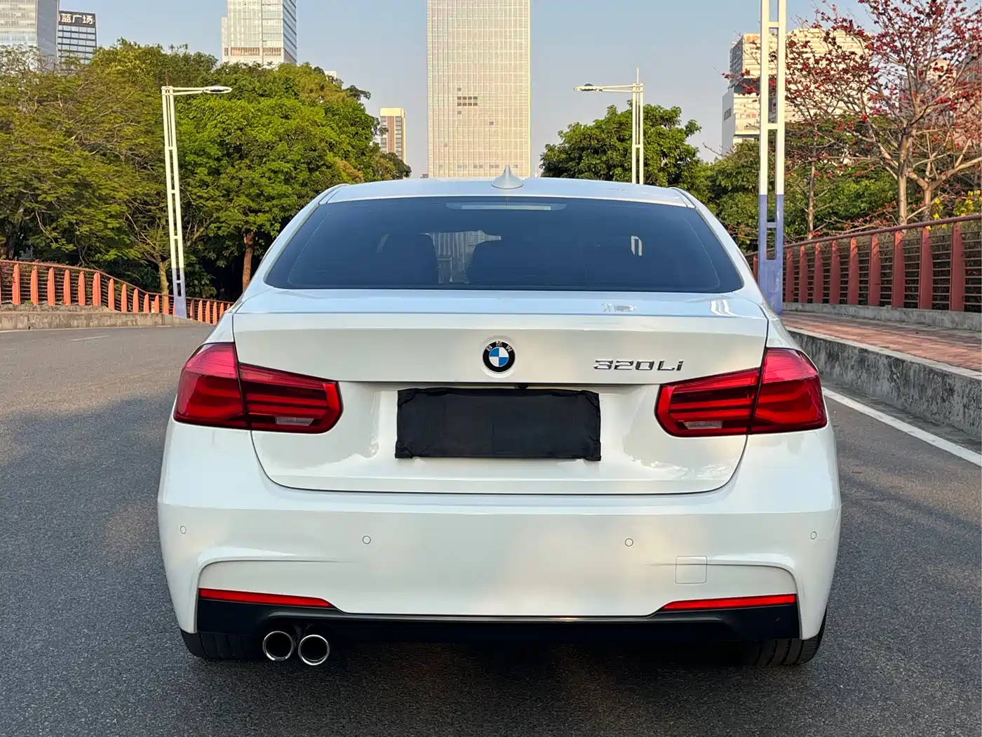 BMW 3 Series 2017 320Li M Sport фото 14