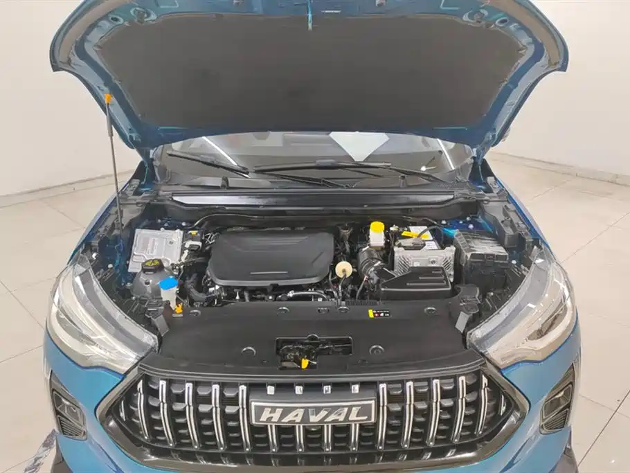 Haval Chitu 2021 Turbo Edition 1.5T Golden Rabbit фото 10