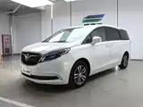 Фото 1 - Buick GL8