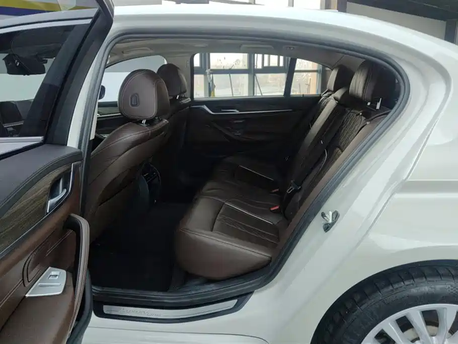 BMW 5 Series 2019 530Li Leading Luxury Package фото 11