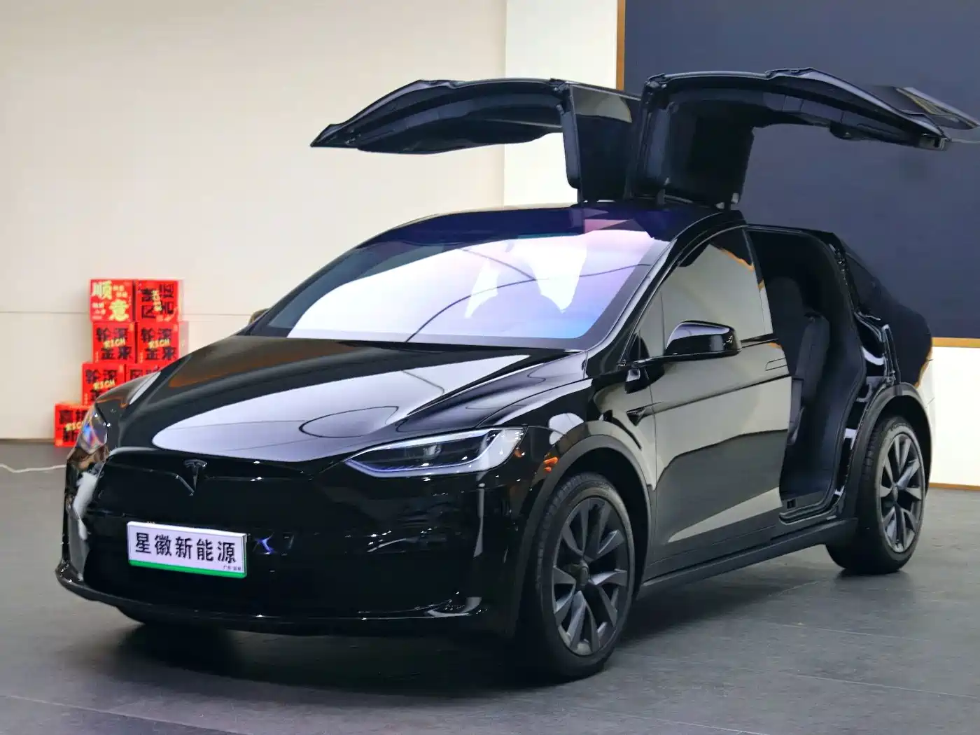 Tesla Model X 2023 Dual Motor All-Wheel Drive Edition