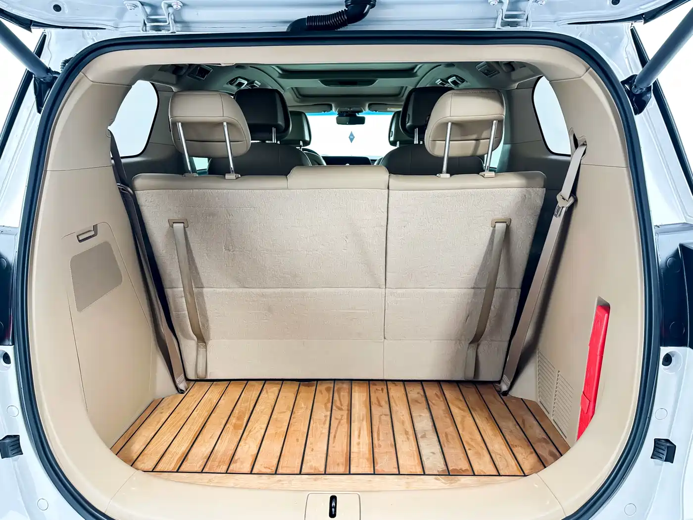 Buick GL8 2021 ES Landlord 653T Luxury фото 12
